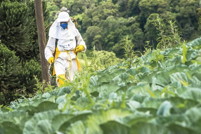 Reportagem Especial – Trabalho com Agrotóxicos: Manejo danoso – Ed. 382